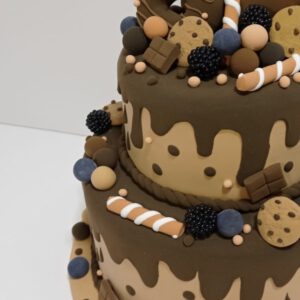 tarta falsa 100% chocolate (2)